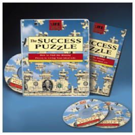 The Success Puzzle